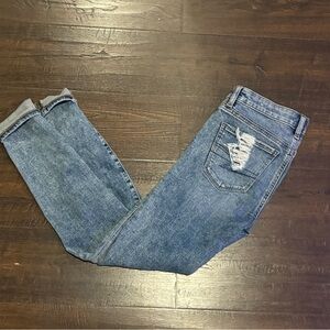 American Eagle Outfitters Relaxed Blue Jeans